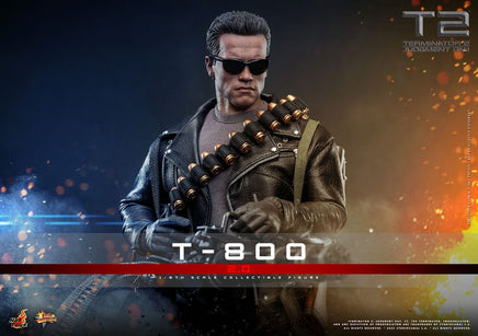 Action Figure Hot Toys Terminator 2 Movie Masterpiece 1/6 T-800 Schwarzenegger