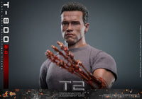 Action Figure Hot Toys Terminator 2 Movie Masterpiece 1/6 T-800 Schwarzenegger