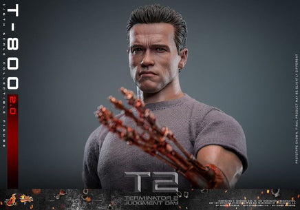 Action Figure Hot Toys Terminator 2 Movie Masterpiece 1/6 T-800 Schwarzenegger