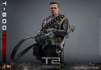 Action Figure Hot Toys Terminator 2 Movie Masterpiece 1/6 T-800 Schwarzenegger