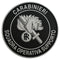 Patch Gommata Carabinieri Squadra Supporto Operativo GIS Prodotto Ufficiale