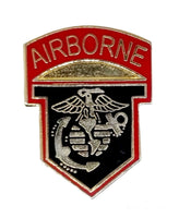 101st Airborne Division US Army Enamel Metal Brooch