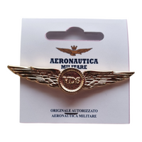 Spilla Distintivo attestato di Volo Sportivo Aeronautica Militare