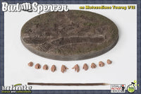 Preordine Action Figure Bud spencer con Tuareg Zodiaco Perfect Model 1/12