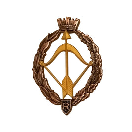 Spilla Caccia Dorato Aeronautica Militare